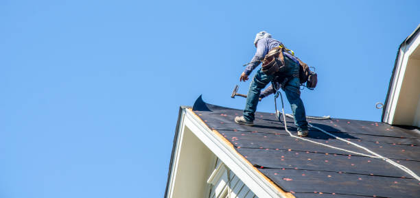 Best Roof Maintenance Services  in Roosevelt Gardens, FL